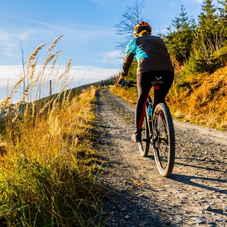 Die lebenswichtigen Omega-3-Fettsäuren